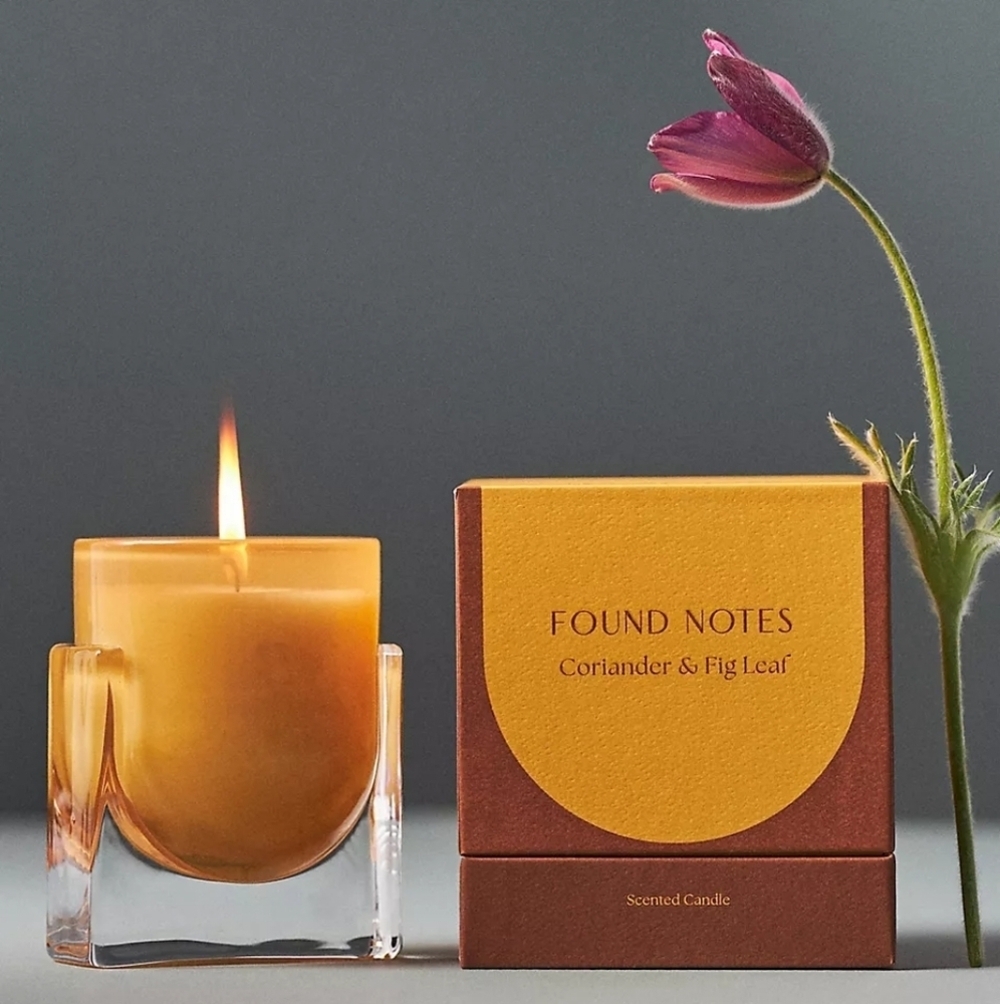 Anthropologie Found Notes Fresh Coriander & Fig Leaf Boxed Candle, 5.5 oz. NIB
